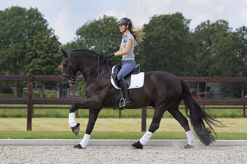 Mandy met Tsjibbe in het Z2!