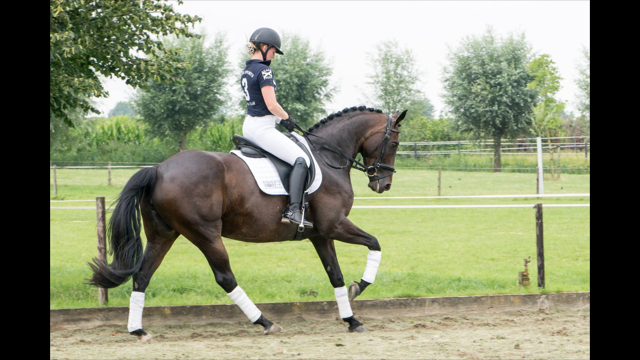 Patricia met First Diamant (Floor) onder het zadel